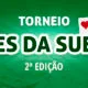 torneio sueca megajogos