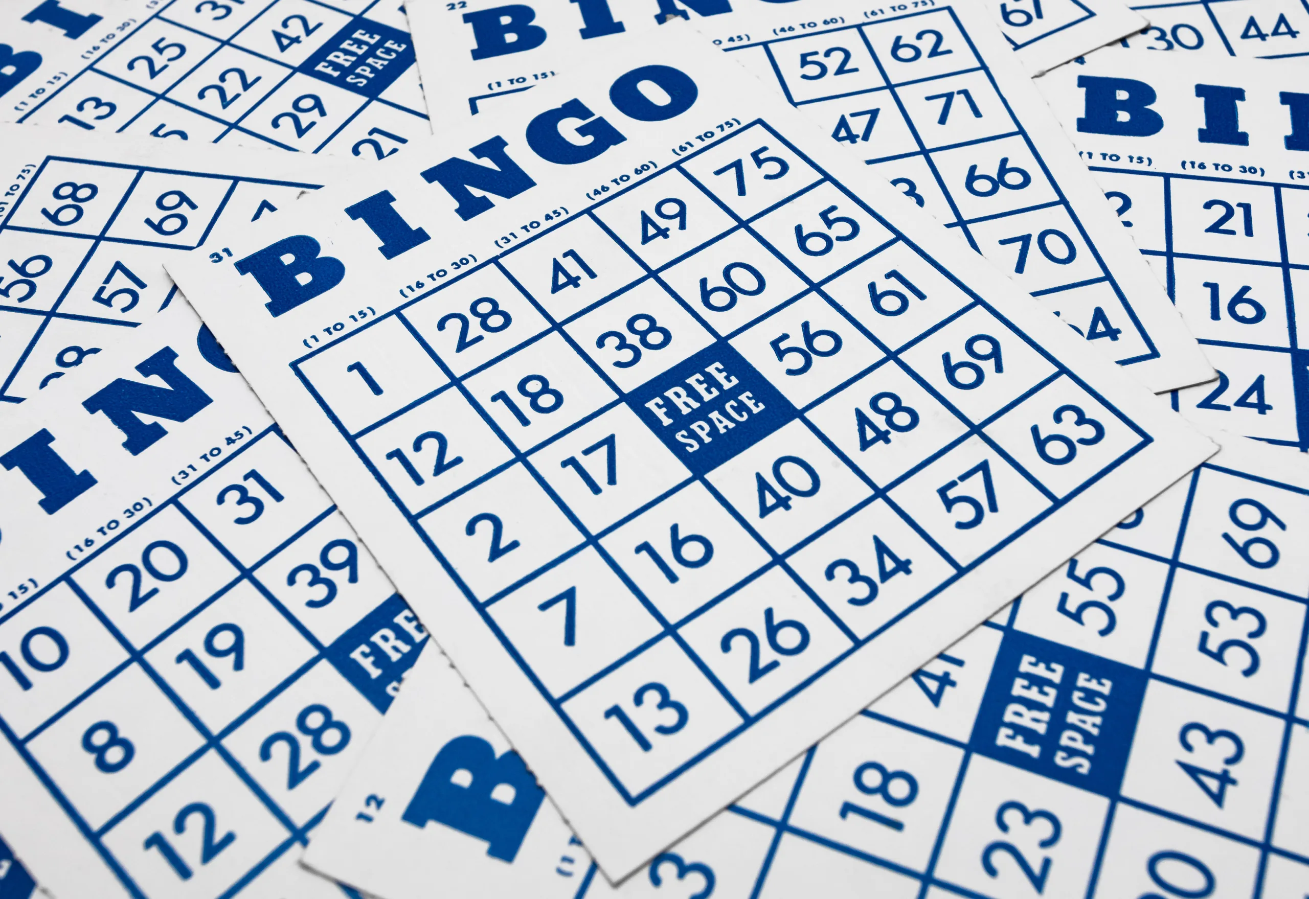 Bingo game cards. Bingo numbers with blue and white background.