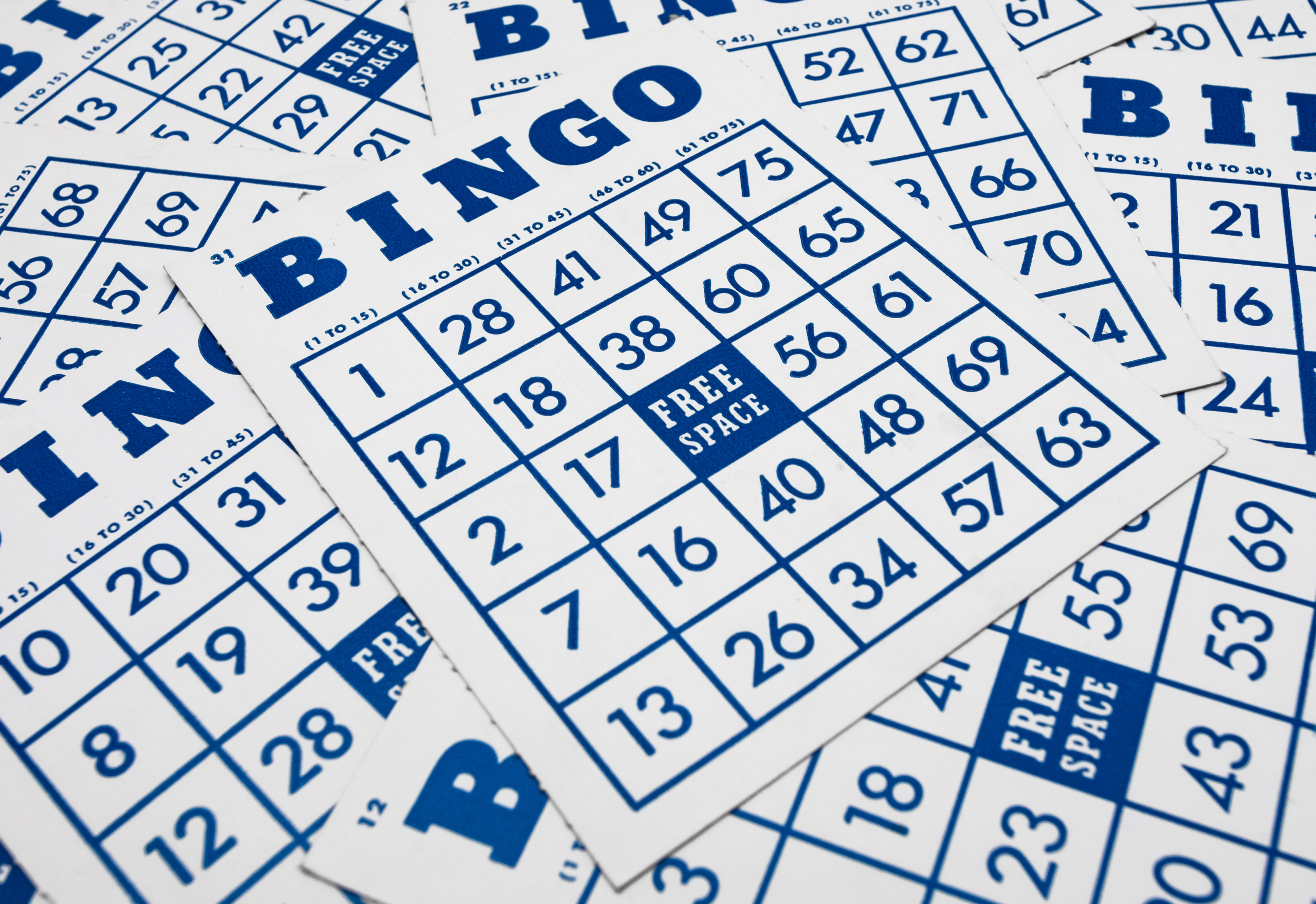 Bingo Online  MegaJogos 