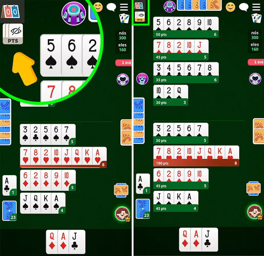 novo botão de visualizar pontuação